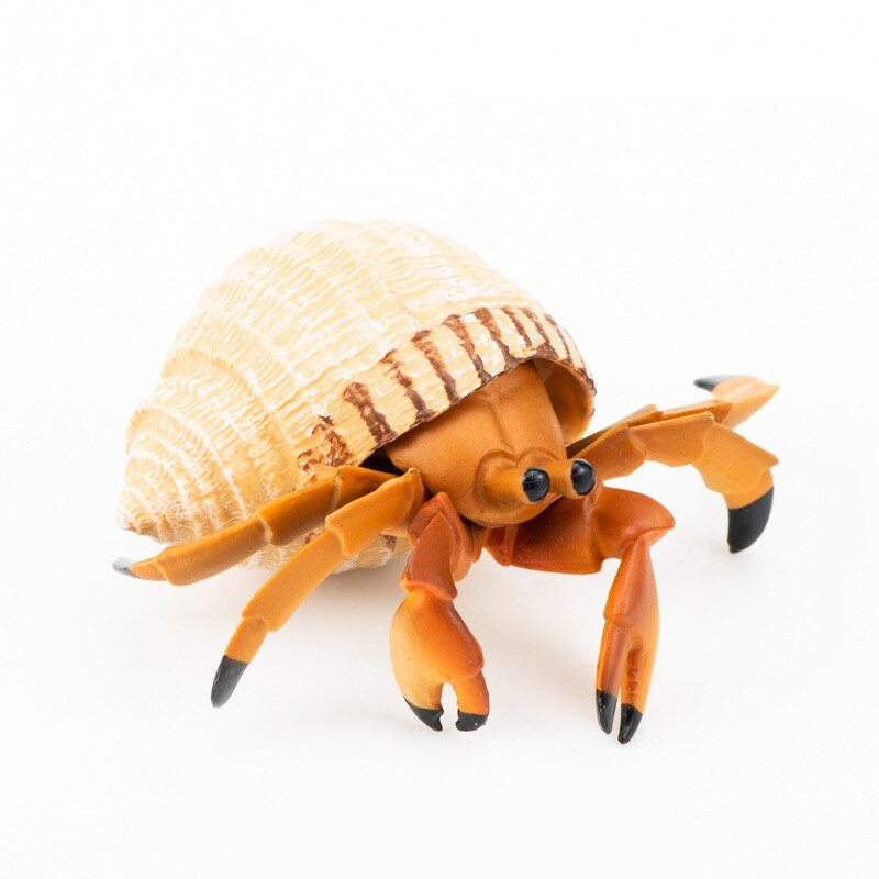 Cross Border Sales Model Oceans Animal Model Toy Plastic Solid Marine Organism Octopus Crab Model Ornaments: S752 Hermit Crab