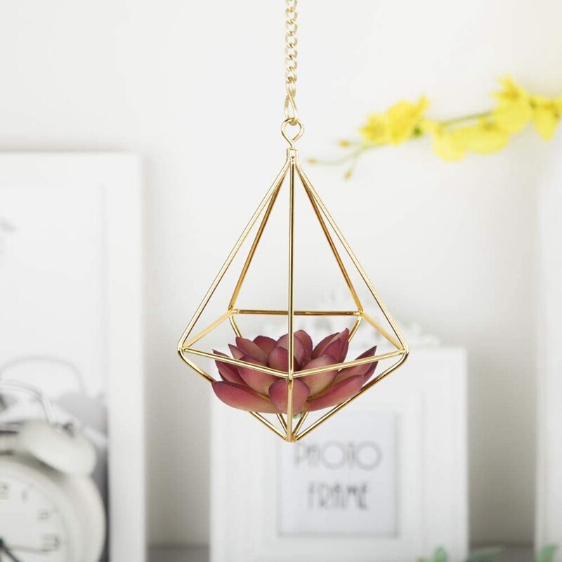 4 Pcs Nordic Style Hanging Tillandsia Air Plant Rack Wall Hanging Geometric Metal Tillandsia Air Plants Rack Holder