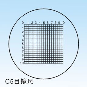 C5 DIV=0.5MM Microscope Stage Micrometer Glass Slide Scale Measuring Micrometer Calibration