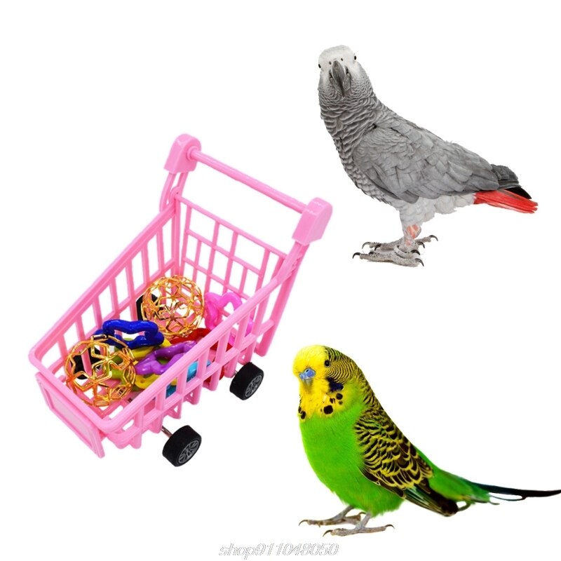 Parrot Bird Puzzle Training Toys Set Mini Plastic Shopping Cart Balls Five-pointed Star Circles Parakeets F09 21