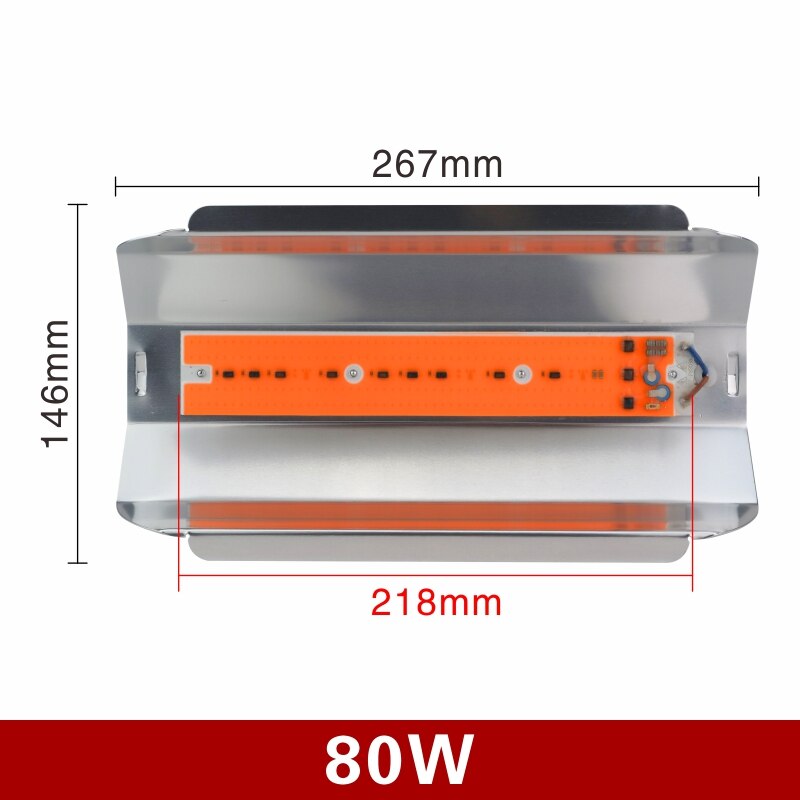 Volledig spectrum led kweeklamp 30w 50w 80w ac 110v 220v groeilamp binnenplantenlamp kas cob buitenschijnwerper: 80w / 110v