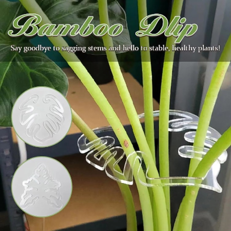 Turtle Shell Bamboo Clamp Set Monstera Grapple Plant Unique Aesthetic Monstera Plant Support Keeps Plants Tame Growing Vertical