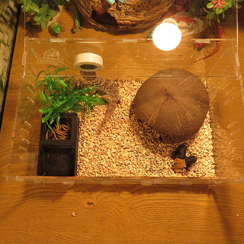 Terrario de caja de comida de agua de plástico negro para alimentar a las tortugas de insectos