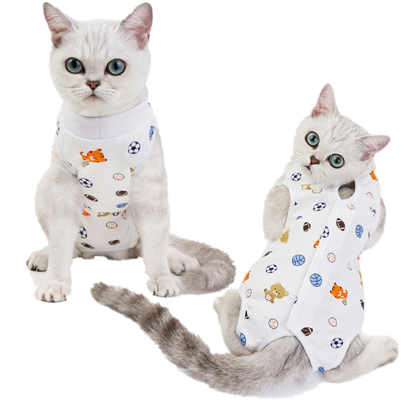 Pantalon physiologique lavable pour chat, sous-vêtement pour chien, chiot, chat, S-XL
