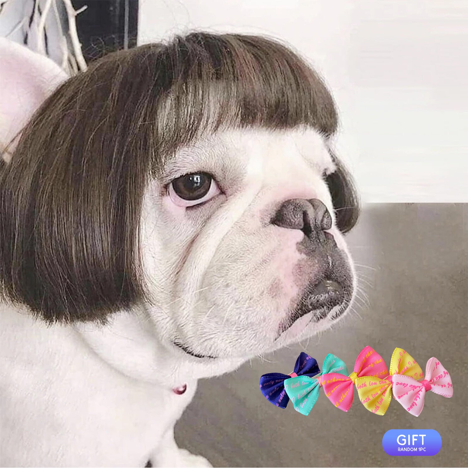 zwierzę domowe peruka rekwizyty robić cosplay placki kot przechodzić-ubieranie się zestaw robić włosów fotografia śmieszne rekwizyty akcesoria na głowę wybryk