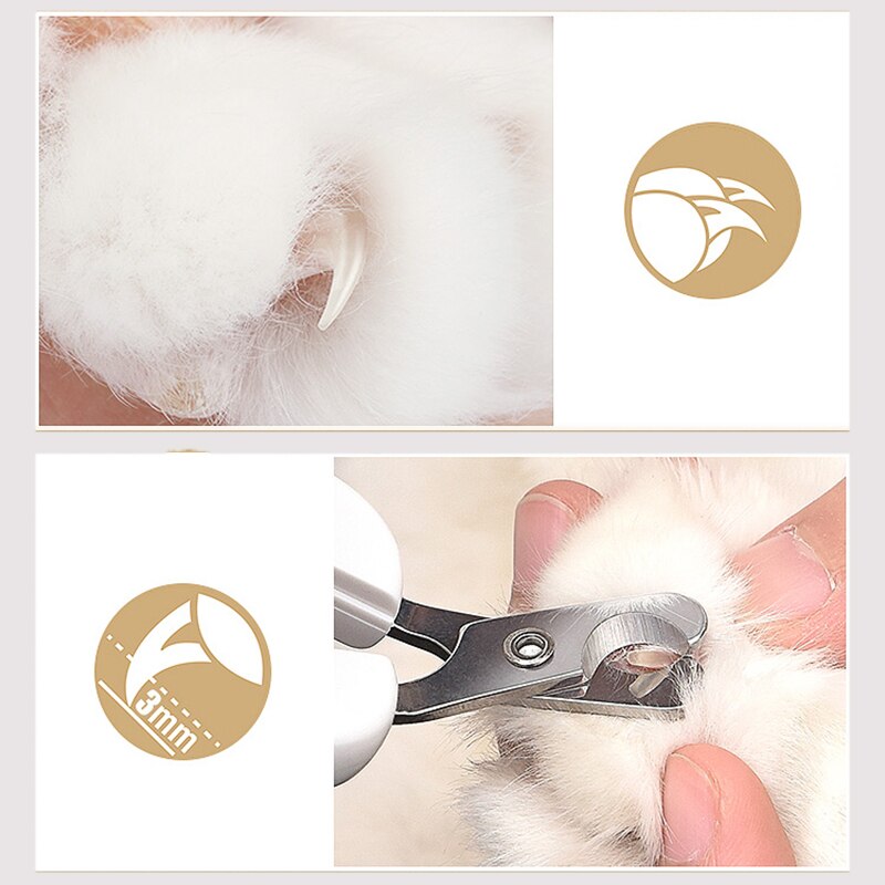 Hoopet Professionele Huisdier Kat Nagelknipper Kat Puppy Nail Grinder Rvs Grooming Schaar Veilig Pet Cleaning Supply