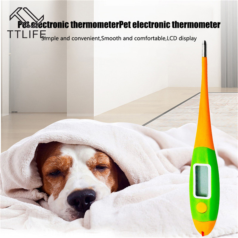 Dieren Elektronische Thermometer Digitale Thermometer Voor Honden Kat Varken Professionele Tools Veterinaire Benodigdheden Thuis Thermometers