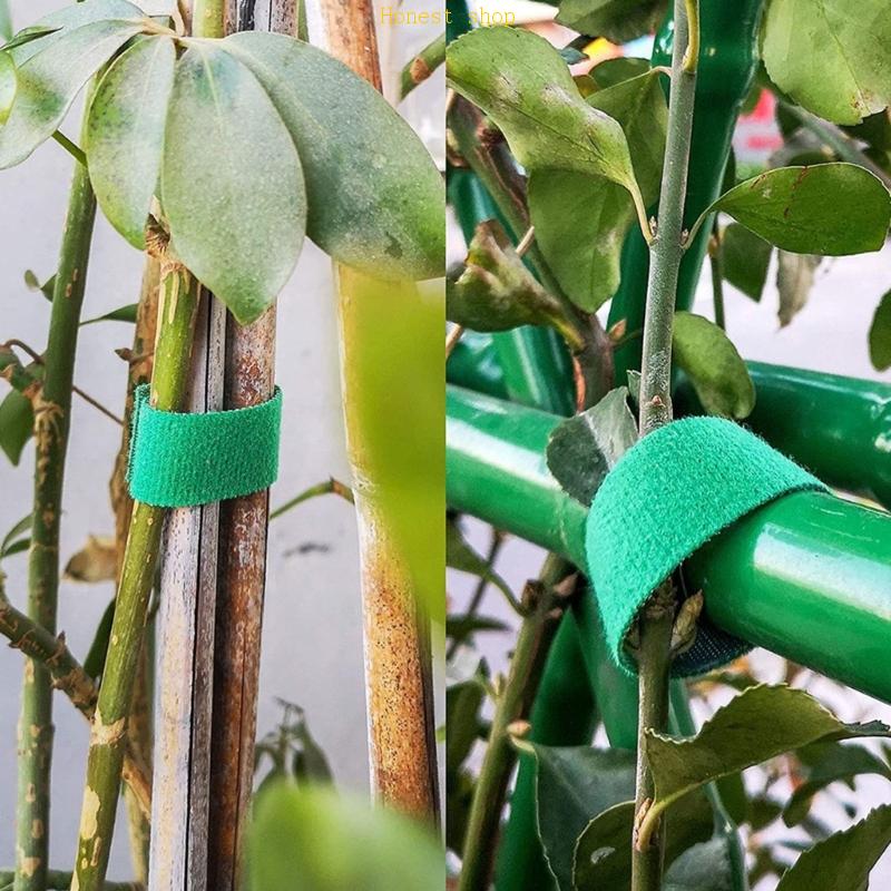 C9GA 12/15/20/25 mm ogrodowy krawat rośliny Bandaż Bandaż Haczyka Haczyka Wspornikowa