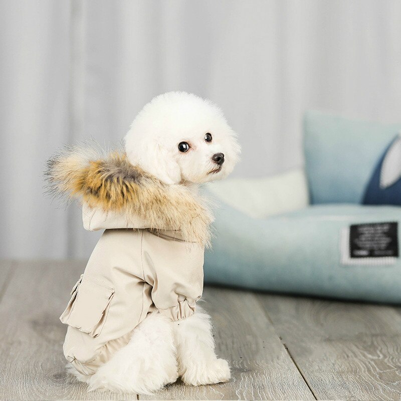Sweat à capuche avec col en fourrure pour chien, vêtement d'hiver pour animaux de compagnie, petit et moyen gabarit, Chihuahua, carlin, Pitbull