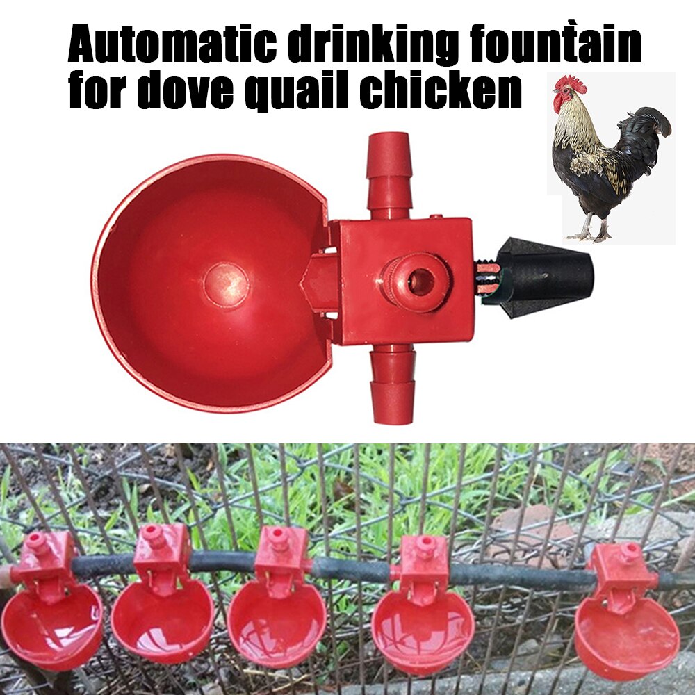 10 Pcs Kip Drinker Voor Kippen Kwartel Drinken Kom Feeder Water Cups Kippenhok Chick Drinknippels Farm Animal Levert