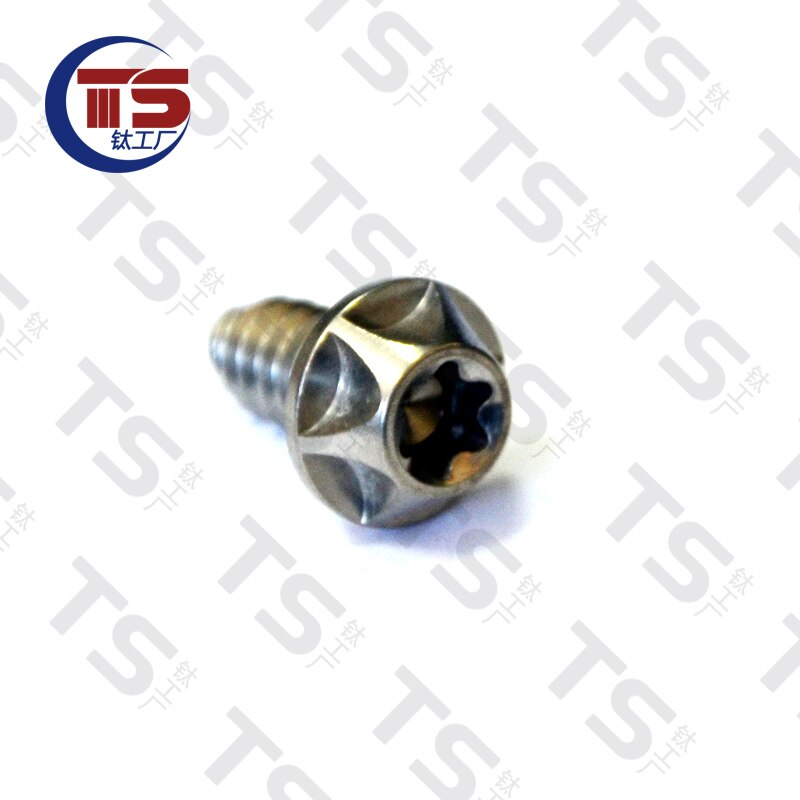 Ts Titanium Ti M4x15mm M6X15/20Mm Zelftappende Knop Torx Schroef Voor Motorfiets Auto (10Pcs): Goud / M2*5 mm