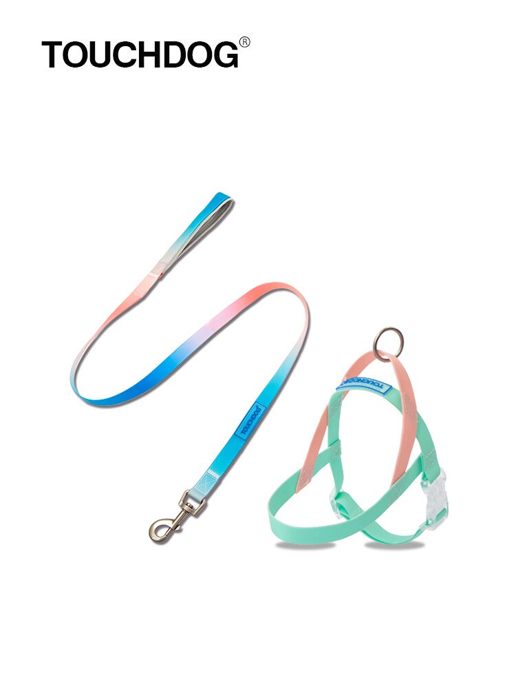 Hund Leinen Gelee Gradienten Farbe Hund Harness Hu Vicedeal