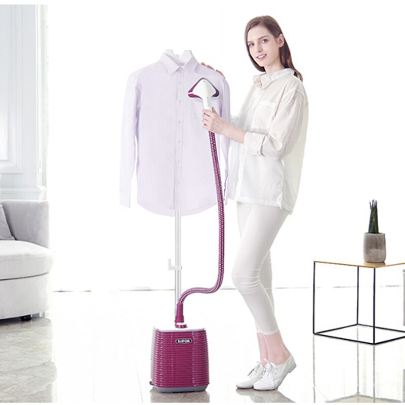 2L household ironing machine steam small vertical handheld iron steam GT20Z07C-20 hanging ironing machine 220v 2kw
