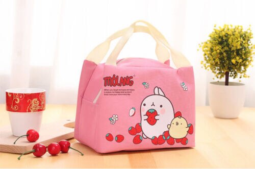 Leuke Draagbare Geïsoleerde Thermische Cooler Bento Lunchbox Tote Picknick Opbergtas Pouch Mooie Cartoon Warmte Behoud Zakken: Roze