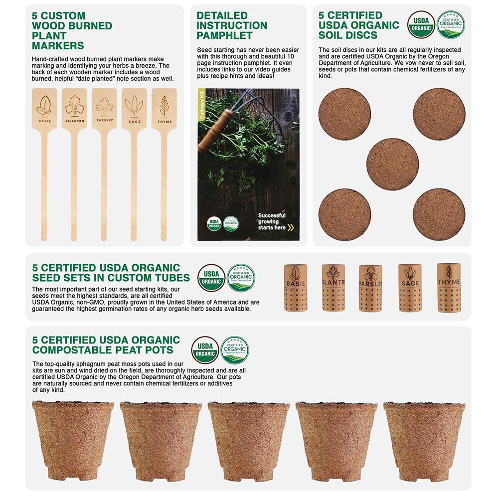 DIY Garden Starter Kit Handmade Durable Grow Set Growing Herbs Indoor Planting For Home Window Sills Apartments