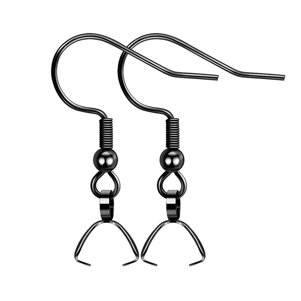 10/20pcs Stainless Steel French Earring Wires Fish Hook Pendant Clasp for DIY Jewelry Craft Making Supplies Accessories Handmade: S / black