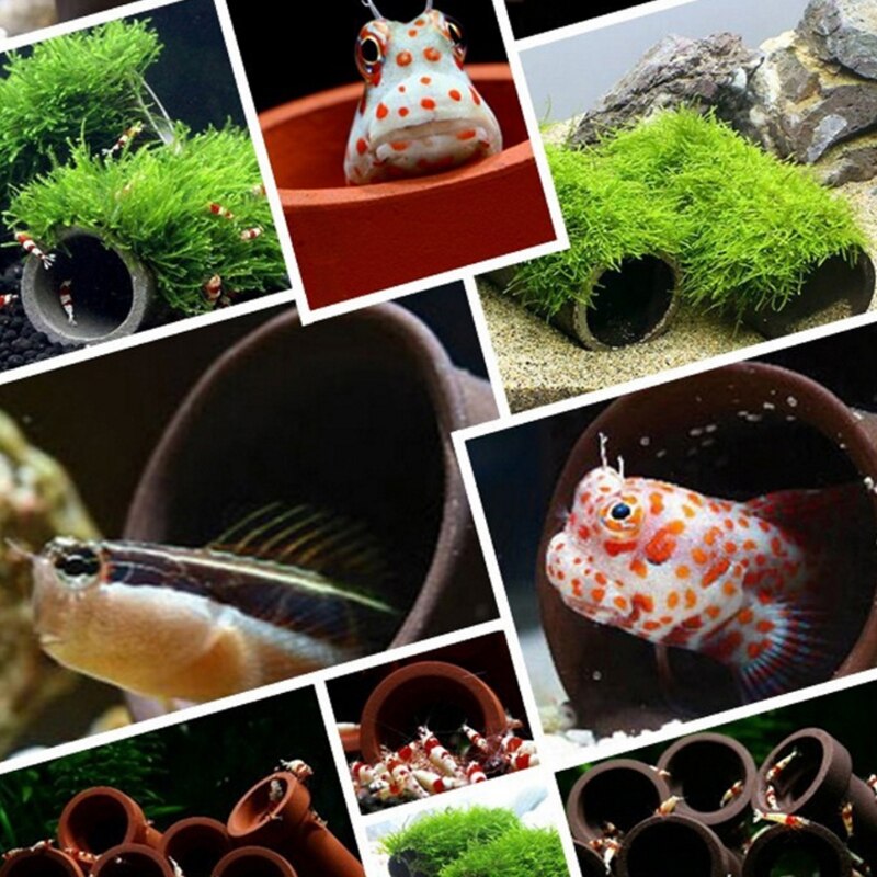 E8BD – Aquarium tubulaire d&#39;élevage, abri de grotte pour poissons, crevettes, frai, plante vivante