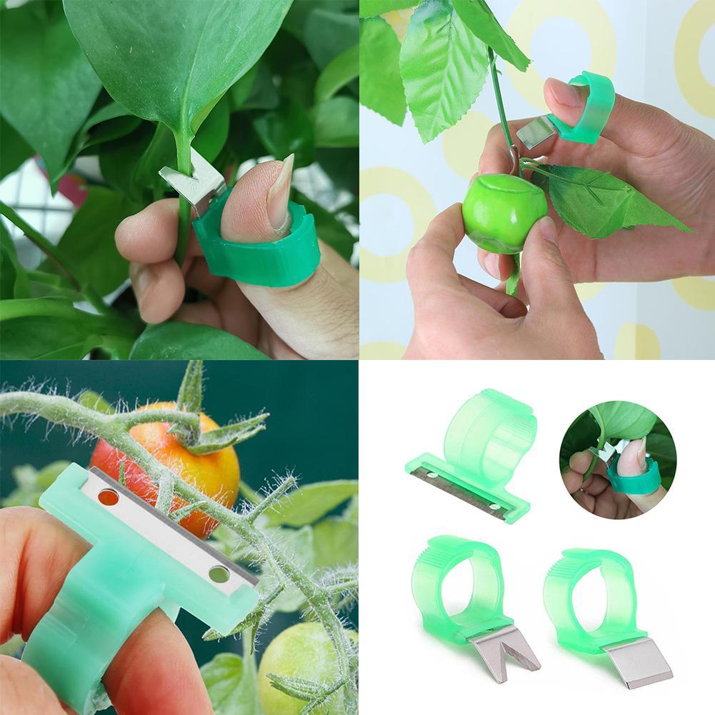 1 Pcs Groenten Picker Duim Ring Tomaat Komkommer Druif Fruit Hand Snijgereedschap Sharp Blade Snelle Picking Helper Voor Groente