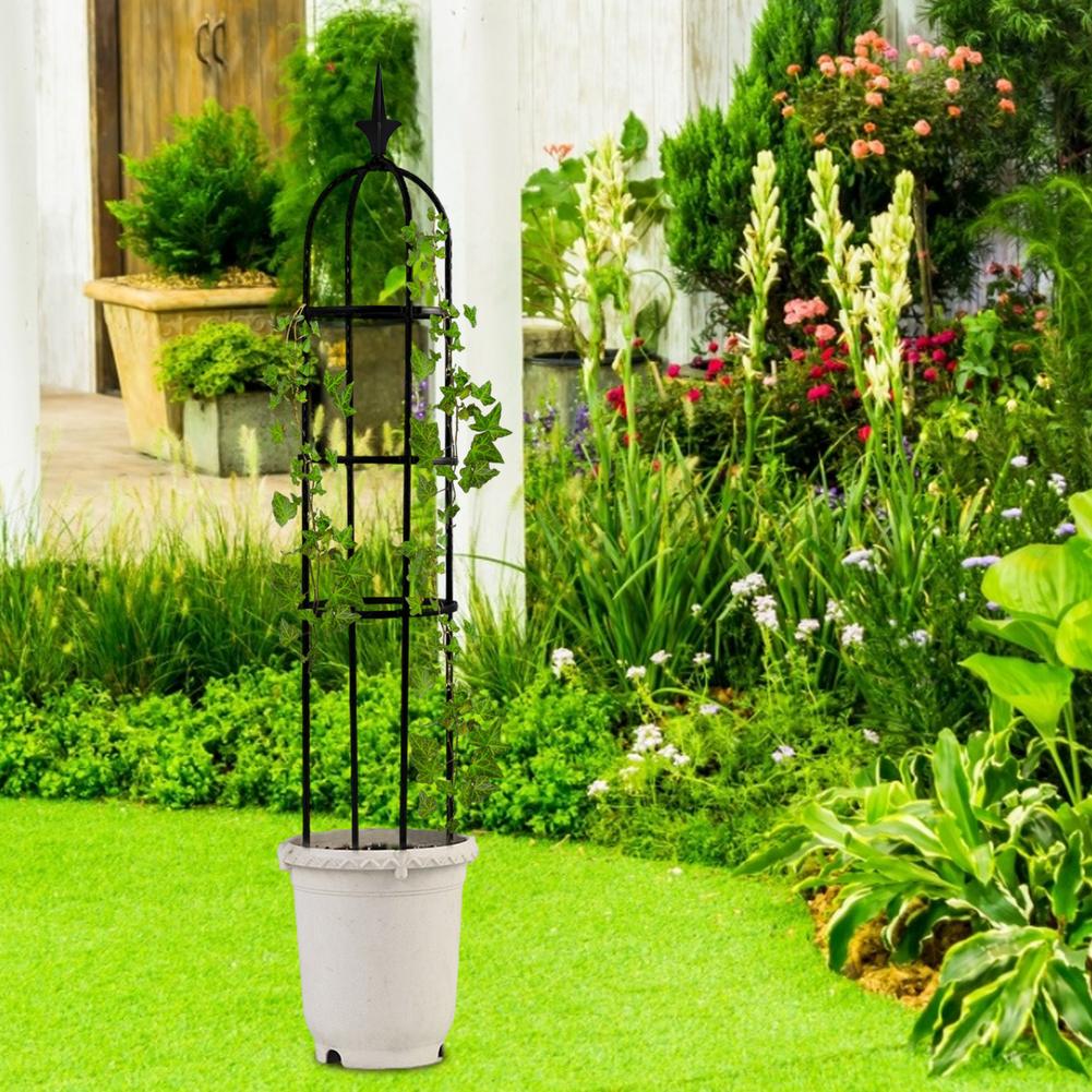 Obelisk plante klatreplante vinstativ haveplante klatreespalier splejset stål blomsterramme stativ plante pottestøtteramme