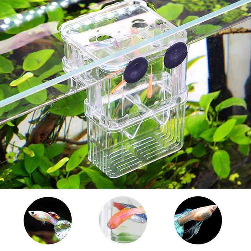 Large Acrylic Fish Breeding Box Aquarium Breeder Box Hatching Supplies Aquarium Double Incubator Pet Guppies Isolation S/L P0S3