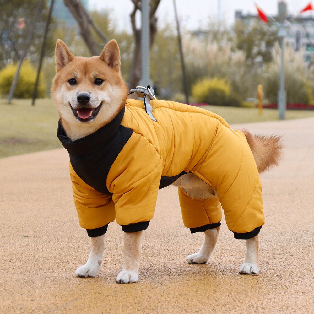 Vêtements réfléchissants d'hiver pour chiens, manteau épais et , avec bretelles, Chihuahua, bouledogue français: YELLOW / XXL