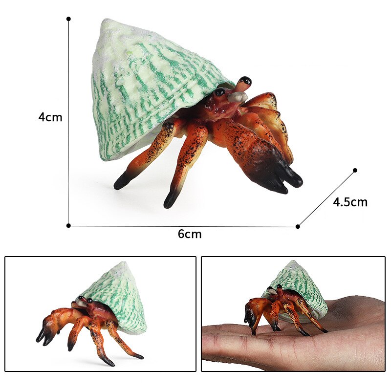 Simulation Meer Leben Modelle Ebene Aktion Einsiedler Krabbe Krabbe Seepferdchen Seesterne Figuren Figuren Pädagogisches spielzeug für freundlicher