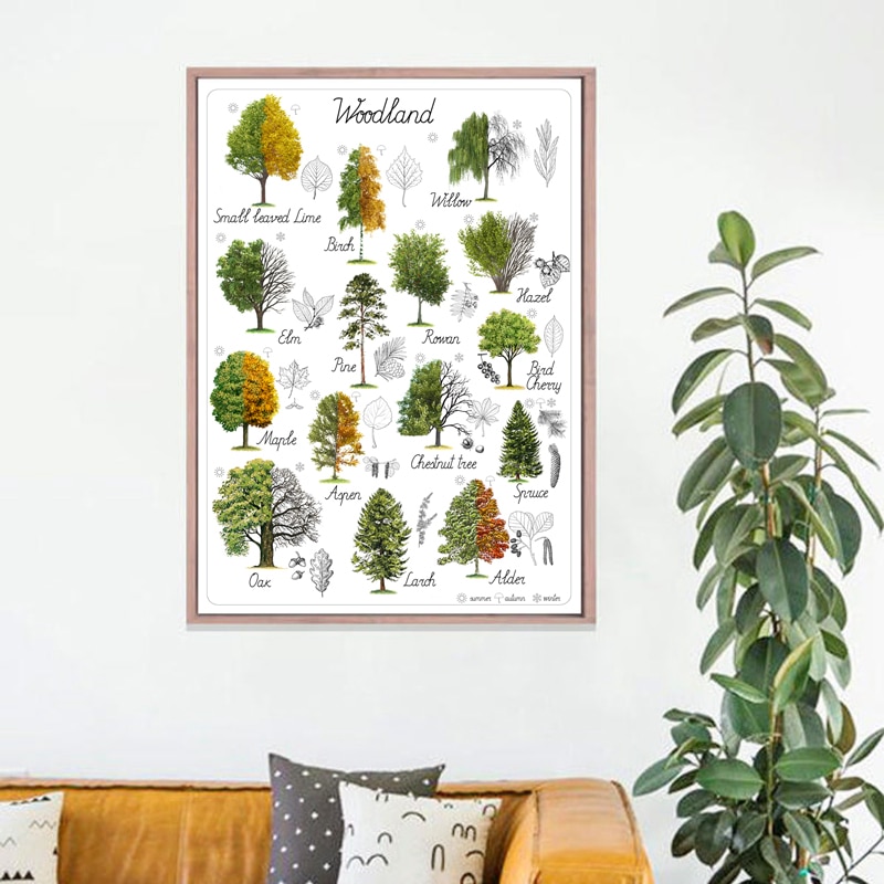 Tree Natural Educational Poster Art Woodland Home Wall Decor Botanical Materials Preschool Painting Retro poster kraft paper