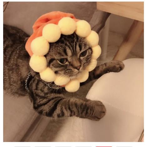 Katoenen Pet Hoed Decoratieve Party Pet Kat Hoed/Kleine Honden Verstelbare Leuke Cosplay Pet Accessoires Leuke Hoofddeksels