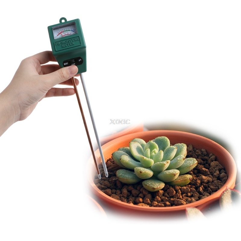 2 en 1 PH testeur sol eau humidité lumière analisé testeur détecteur jardin A25 directe