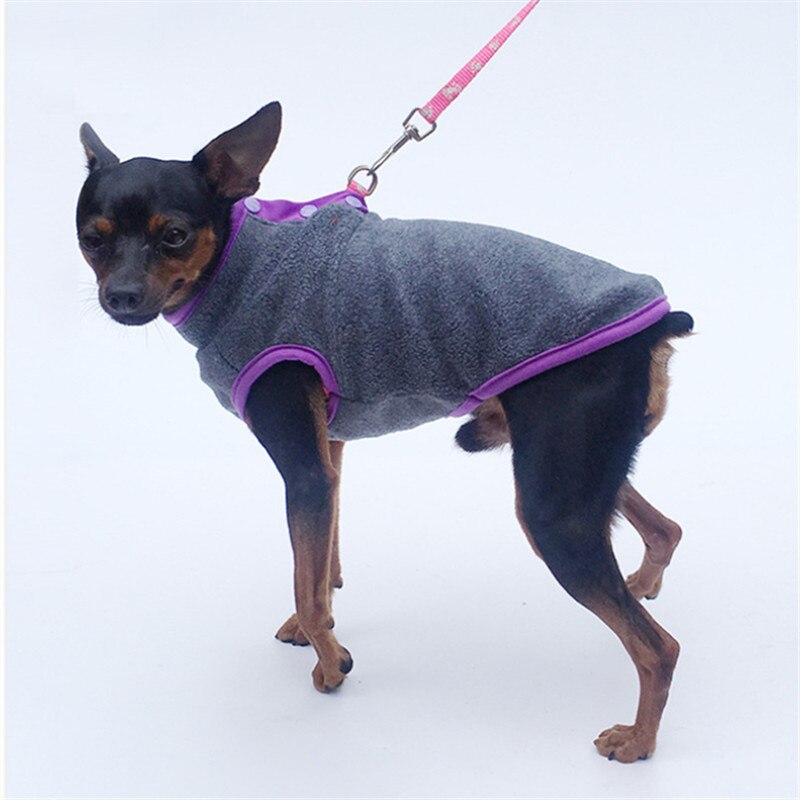 Zachte hondenhoodie, fleece, huisdierkleding, hondenkleding, kat, chihuahua, yorkshire dwergpinscher, pomeriaankostuum, huisdieroutfit