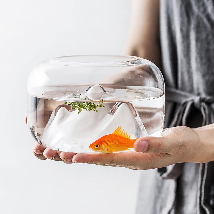 Style japonais neige montagne verre Transparent aquarium Mini bol à poisson pour poisson or grondement poissons décor à la maison pour salon
