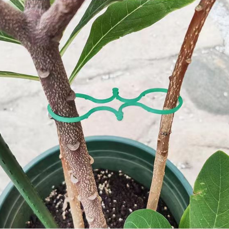 Plastic Garden Vine Strapping Clips, Tie Plant Bundled, Suporte do anel de fivela, Plantas de tomate, Ferramenta de suporte, 50 pcs, 100pcs