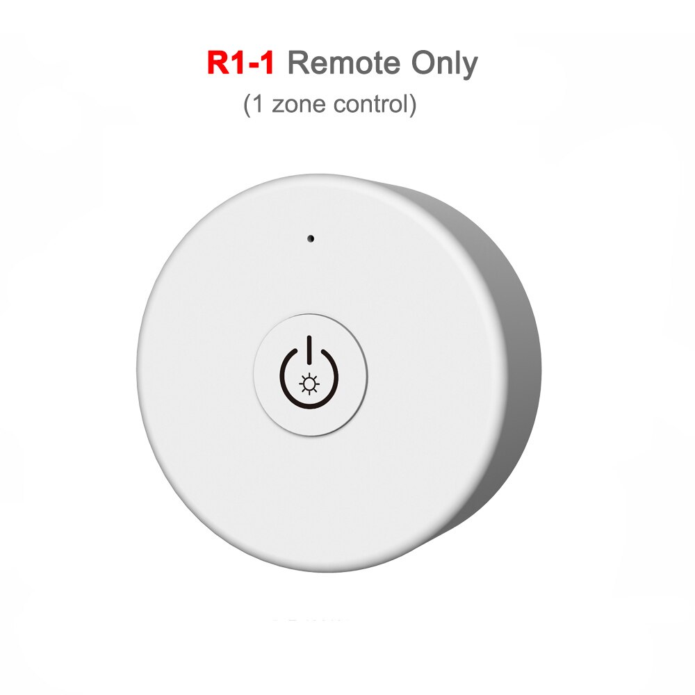 220V Led Dimmer Triac 230V 110V Ac Draadloze Rf 2.4G Afstandsbediening Dimbaar Knop Lichtschakelaar Smart wifi Controller Dimmer Voor Led Lampen: R1-1 Remote Only