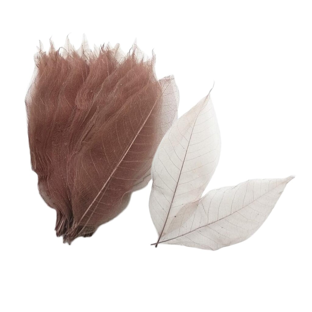 100 Stuks Magnolia Skelet Blad Bladeren Voor Bruiloft Uitnodigingen Kaart Maken Christmas Party Cadeaupapier Decoratie