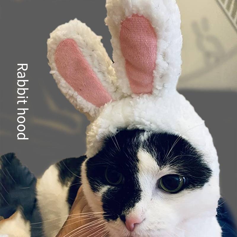 Costume tête de lapin pour chat, ours en peluche pour chien, couvre-chef Garfield, oreilles de lapin, chapeau pour animaux de compagnie de célébrité d'internet