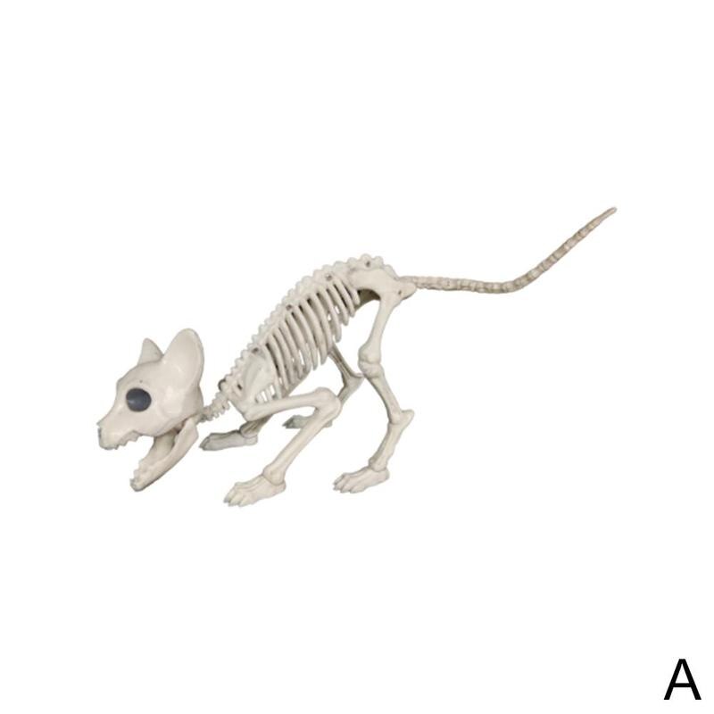 Scheletro di animale Del Gatto Del canna Del topo Modello di Scheletro M1K8: A