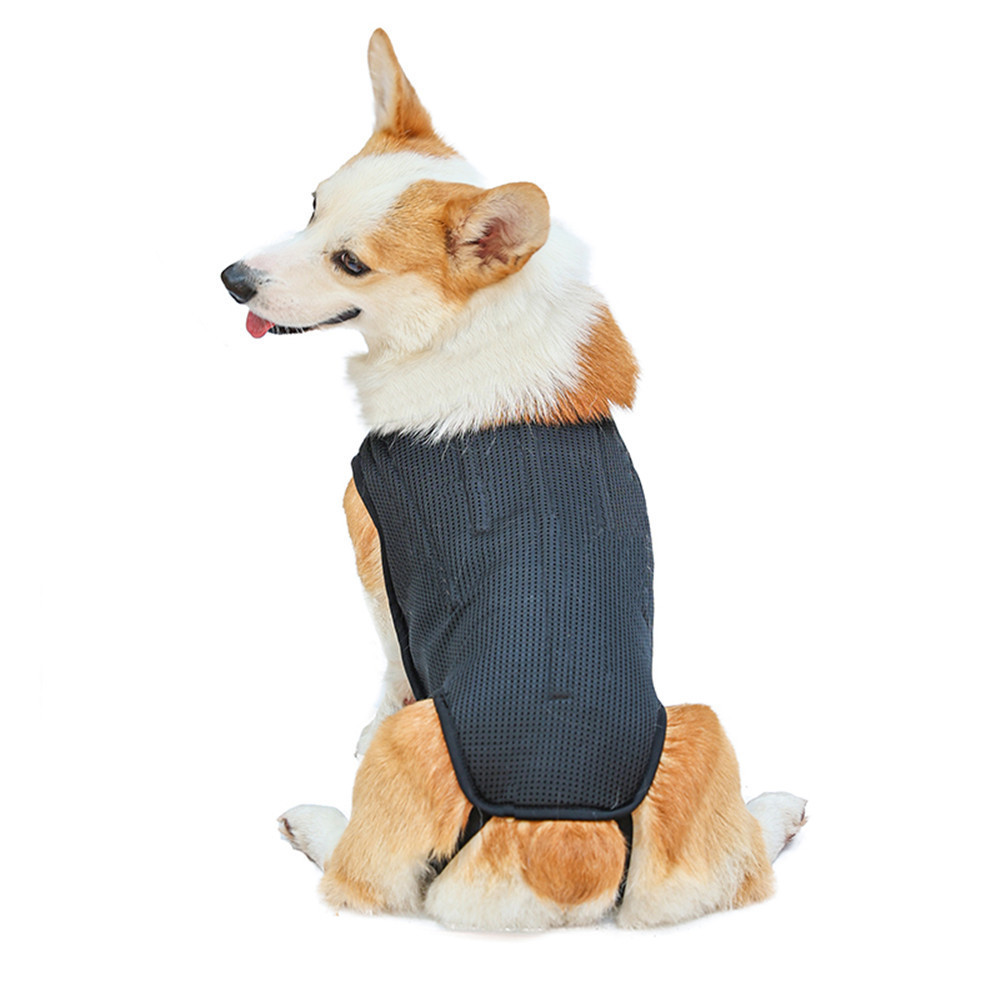 Pet Dog Back Protective Vest IVDD Intervertebral Disc Disease Recovery Brace Pet Back Pain Relief Support Harness Pet Supplies