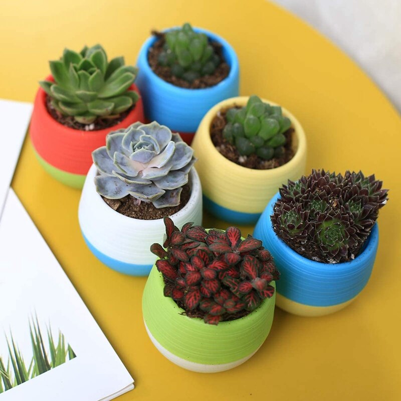 Plastic Plant Pots 25 Pack Flower Pots Removable Saucer Plant Pot with Drainage Hole for Cactus Succulent Seed Starting