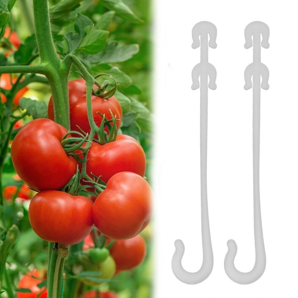 100Pcs J Vormige Fruit Cherry Tomaat Oorhaak Tuin Bloem Groente Plant Ondersteuning Tomaat Clips Trellis Voor Tuin Plant bloem