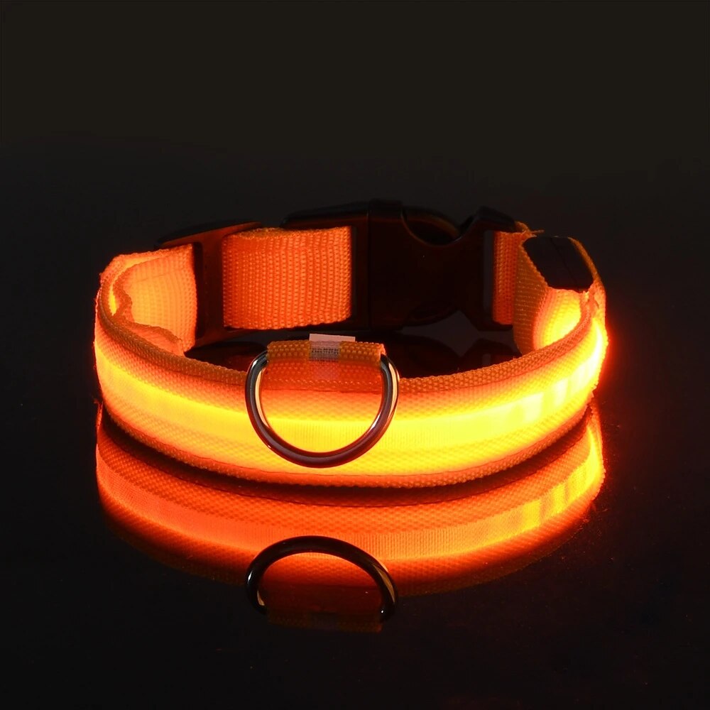 Nylon LED Nacht Sicherheit blinkende glühen in das dunkel Hundeleine Hunde leuchtende fluoreszierende Haustier Hundehalsband: XXXL / Orange