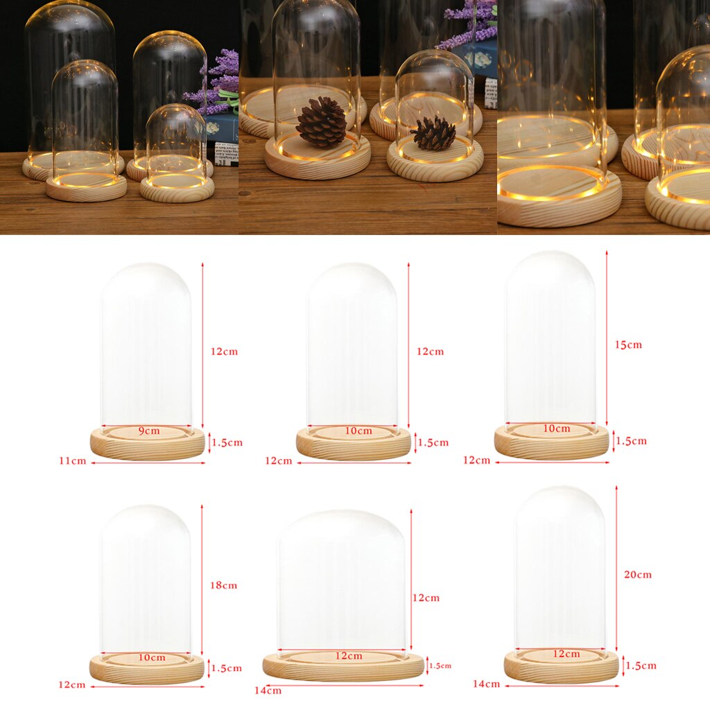 Glass Display Dome + LED Wooden Base, Decorative Clear Glass Cloche Bell Jars Display Dome for Decor
