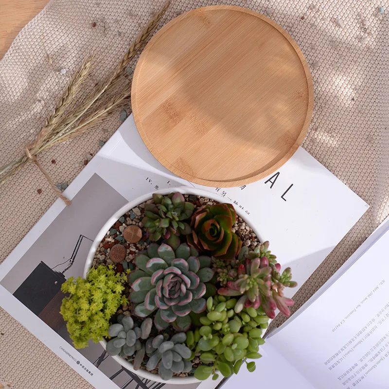 1 einstellen Minimalistischen Weiß Keramik Sukkulente Topf Porzellan Tiefe Abgerundete Topf Schreibtisch Topf Zakka Wohnkultur (1 Topf + 1 fach)