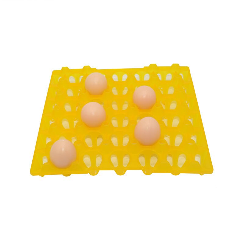Plateau à œufs ferme, 10 pièces, bac à œufs en matériau plastique, transport et stockage des œufs, 287mm x 287mm x 30 pièces