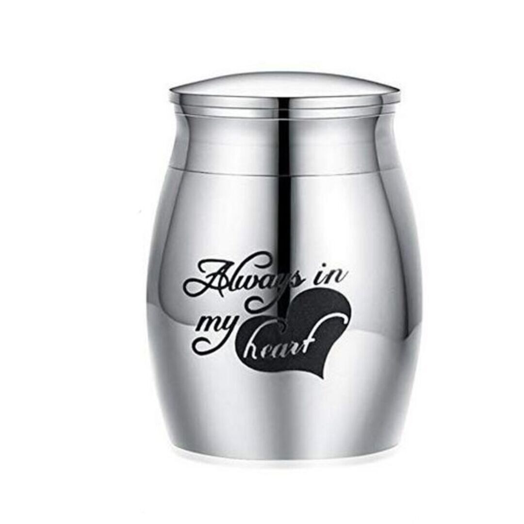 Pet Cremation Urns Lettering Engraving Stainless Steel Ash Memorial Container Dog Cat Resting Place Storage Holder Pet Urn ZA26: color4