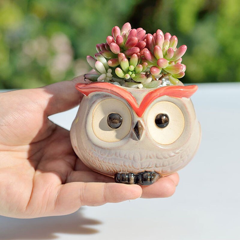 maison jardin décoration en céramique fleur Pos mignon hibou Miniature modèle Succulent Pot de fleur planteur décorations de bureau