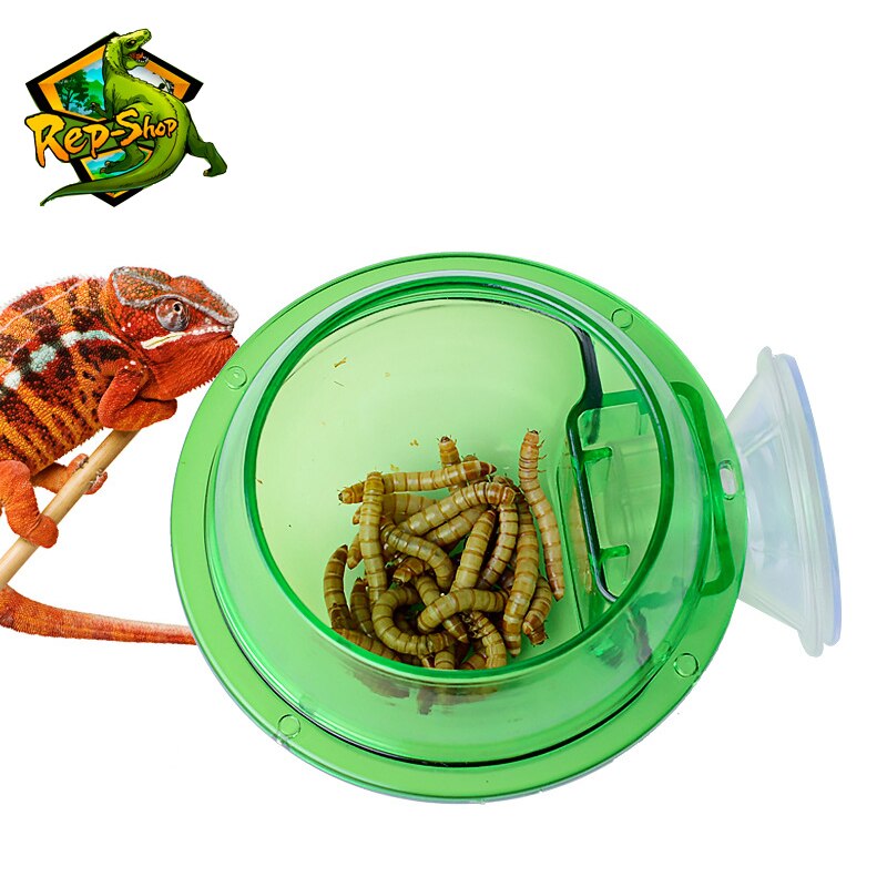 Reptile Feeder Chameleon Feeding Food Bowl Water Dish Suction Cup for Gecko Lizard Bearded Ledge Supplies Pets Accessories