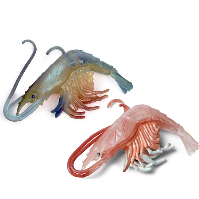 Bebé juguetes de biología langosta la vida marina modelo Animal figura de juguete de plástico de simulación de juguete con forma de gamba para niño