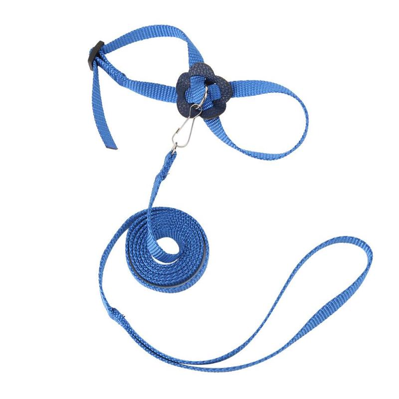 Papegaai Vogel Leash Verstelbare Harnas Huisdieren Anti Vliegende Outdoor Training Touw: Blauw