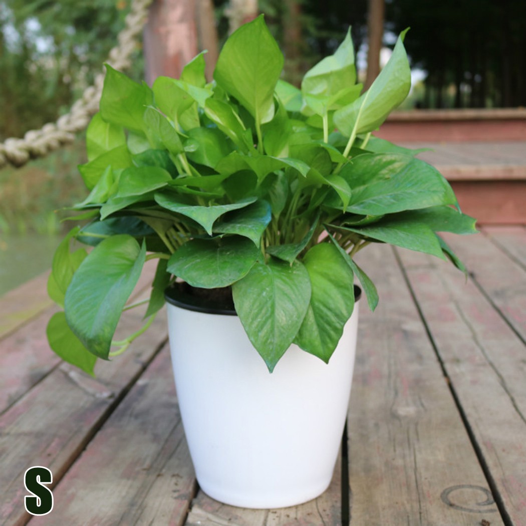 Lazy Flower Pot Flowerpot Imitation Porcelain Series Plastic Self Watering Pot Outer Inner Green Plants Pot For Home Decoration: WHITE