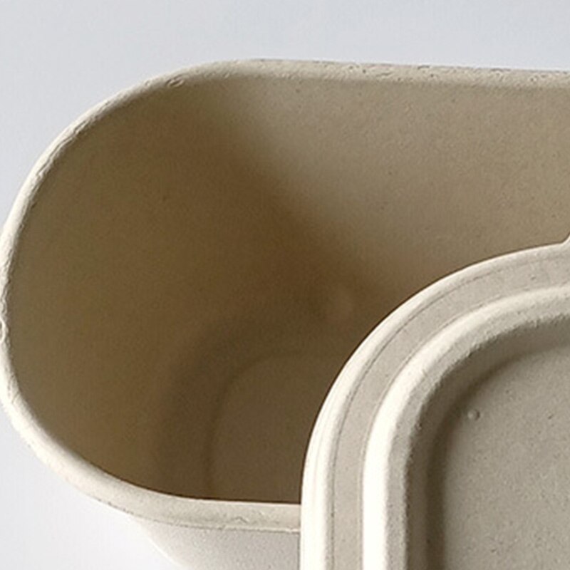 10Pcs Disposable Lunch Box Eco-Friendly Bento Box Bakery Container Fruit Hamburger Cake Meal Prep Packaging Food Container